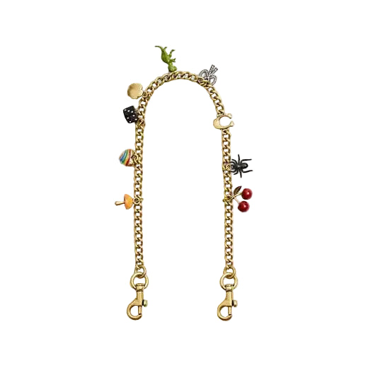 Chain Strap With Charms